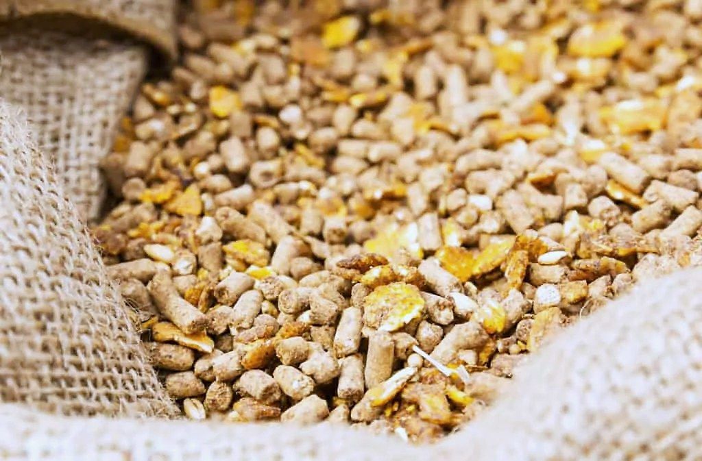 Feed pellets in an open sack.